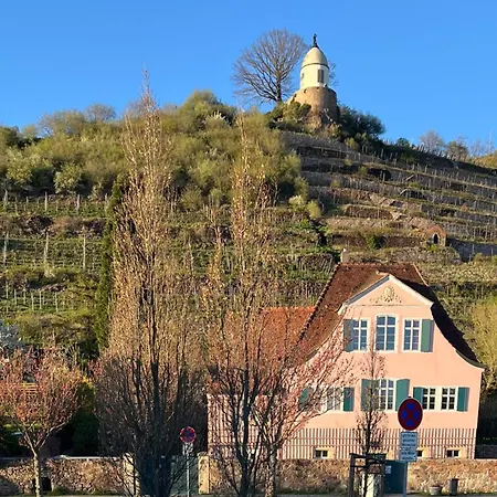 Hochwertige Im Eg- Zum Geniessen *